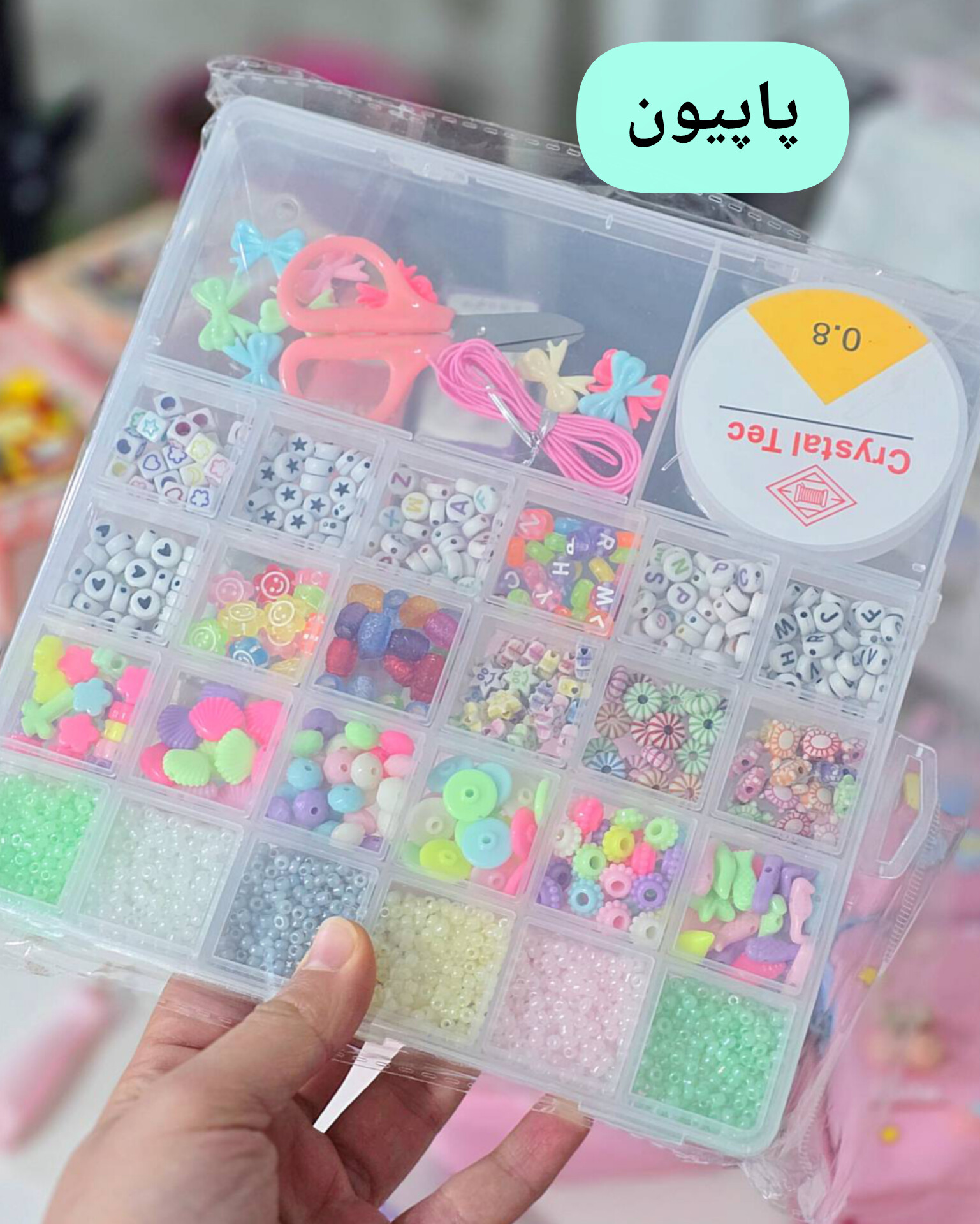 InShot_20260129_021616066