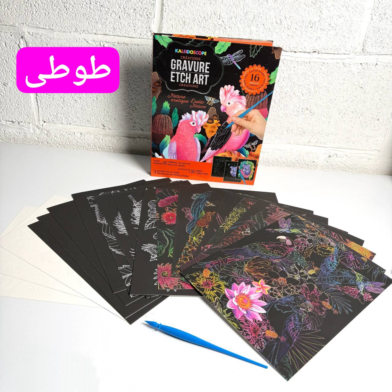 IMG_20251218_010252_209