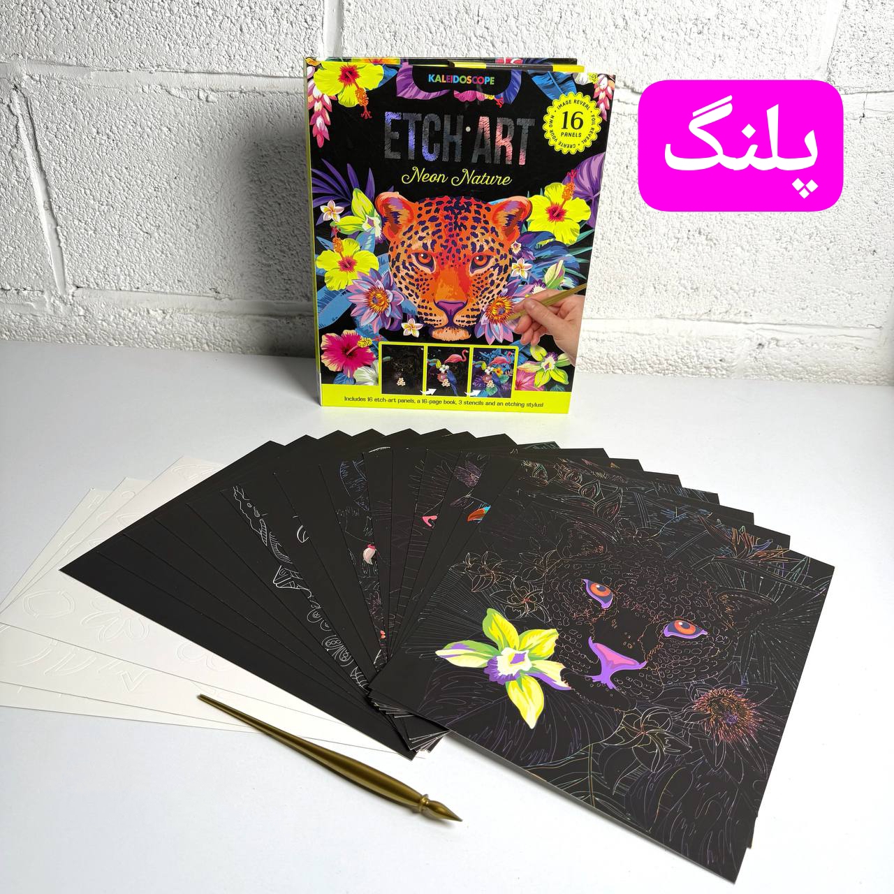 IMG_20251218_010252_949