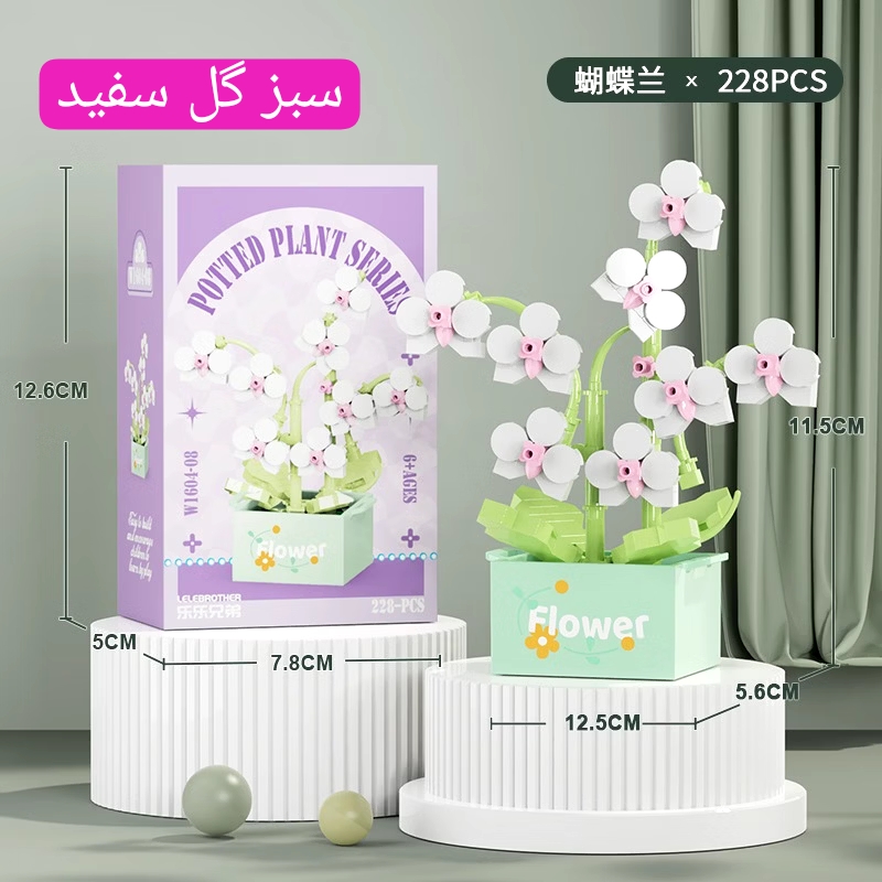 IMG_20260919_171705